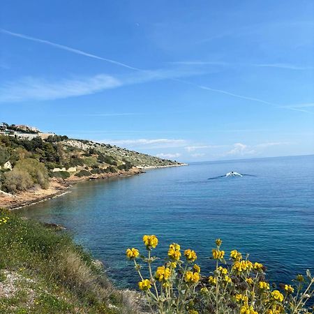 Attica Vacation Home Dhaskalion Dış mekan fotoğraf